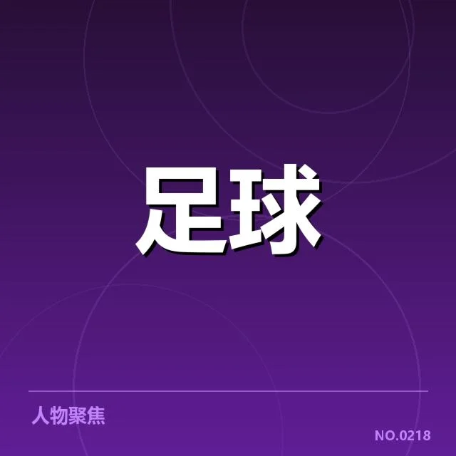 德国杯球场建设：赛事组织与场馆设施如何保障